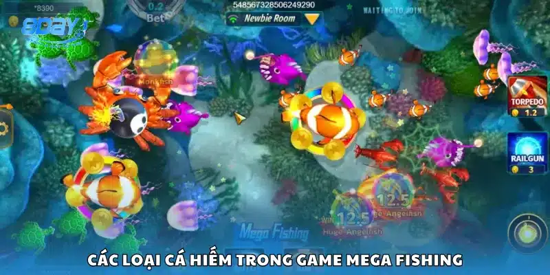 Các loại cá hiếm trong game Mega Fishing