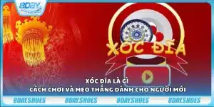 Xóc đĩa là gì – Cách chơi và mẹo thắng dành cho người mới