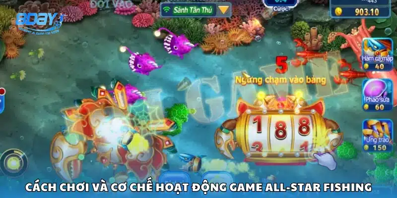 Hướng dẫn chi tiết cách chơi All-Star Fishing