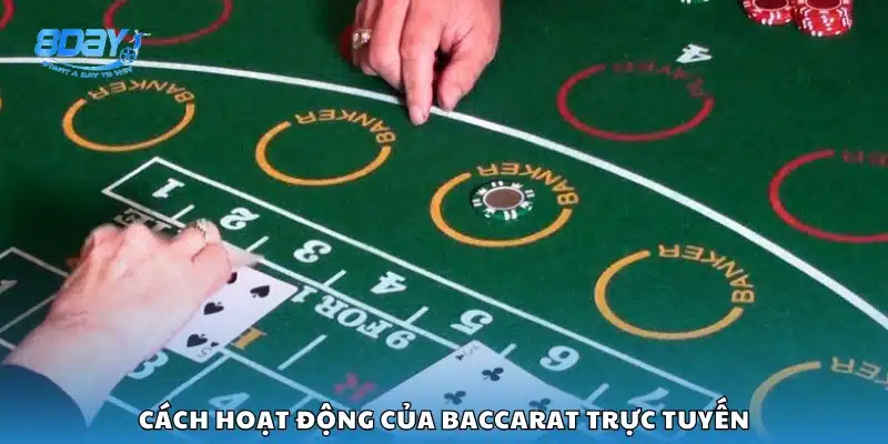 Cách hệ thống Baccarat online xử lý cược và kết quả