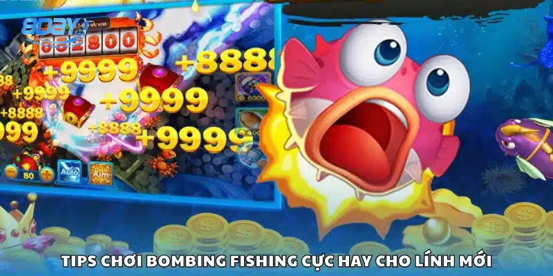 Kinh nghiệm cơ bản giúp tân thủ làm quen Bombing Fishing
