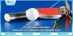 Cá cược bóng bàn 8day - Đón đầu các trận đấu hấp dẫn mỗi ngày