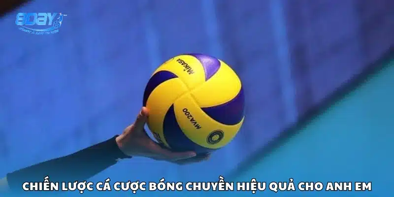 Mẹo cược bóng chuyền chuẩn xác cho người chơi mới