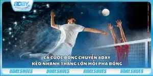 Cá cược bóng chuyền 8Day – Kèo nhanh thắng lớn mỗi pha bóng