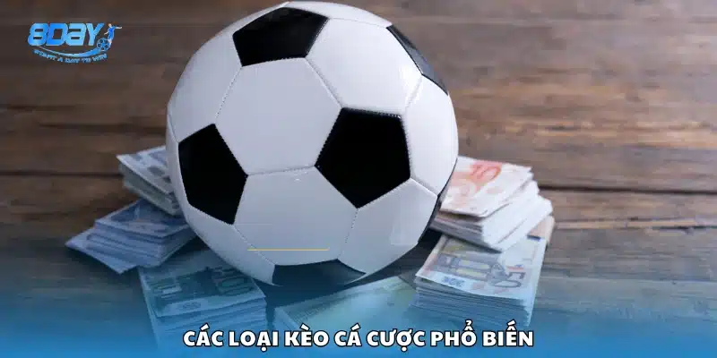 Các hình thức đặt cược được ưa chuộng nhất