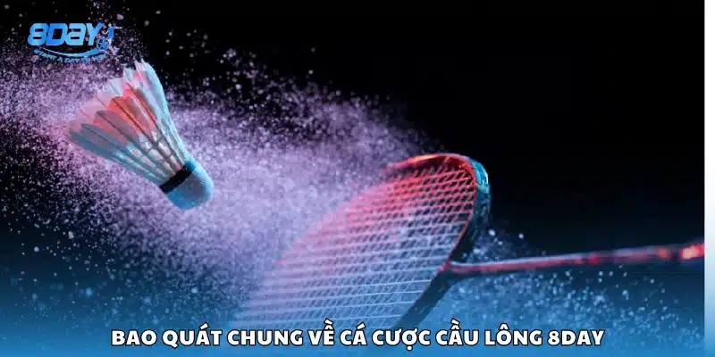 Tổng quan cá cược cầu lông trên nền tảng 8Day