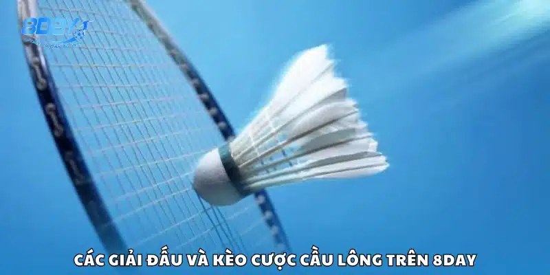 Những giải cầu lông hấp dẫn để đặt cược tại 8Day