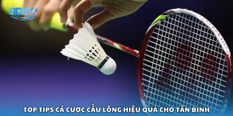 Mẹo chơi cược cầu lông dành cho người mới bắt đầu