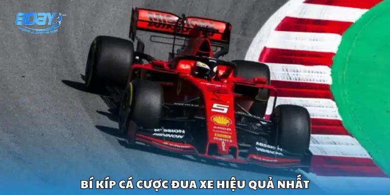 Bí kíp cá cược đua xe hiệu quả nhất
