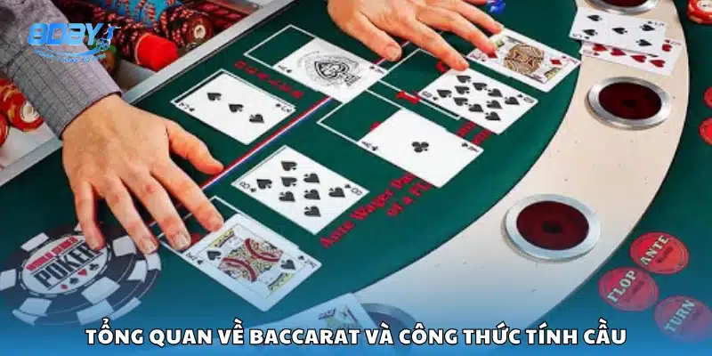 Khám phá cơ bản về Baccarat và cách bắt cầu hiệu quả
