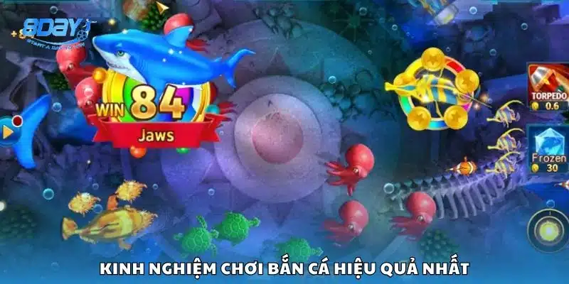 Kinh nghiệm chơi bắn cá hiệu quả nhất