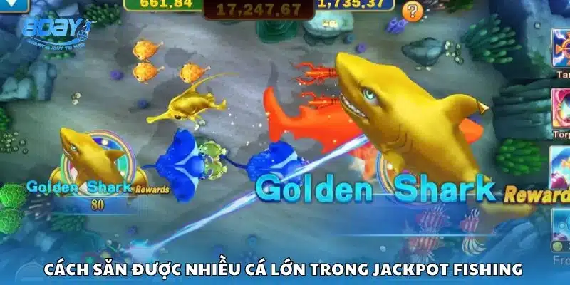 Cách săn được nhiều cá lớn trong Jackpot Fishing 