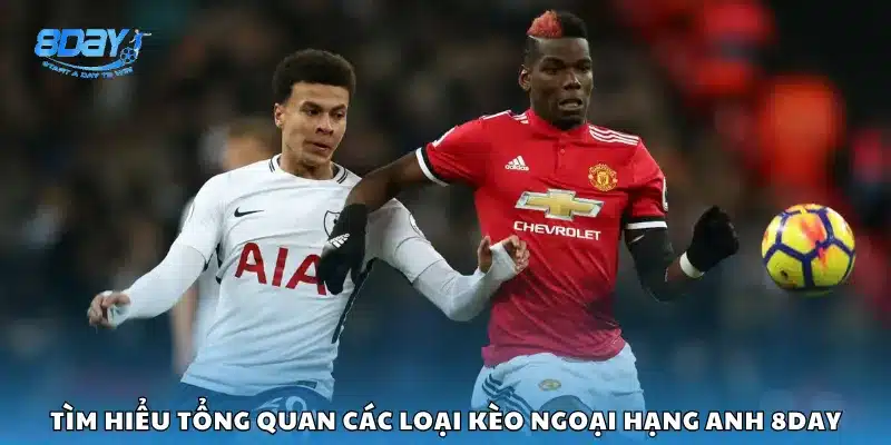 Tìm hiểu tổng quan các loại kèo Ngoại Hạng Anh 8Day